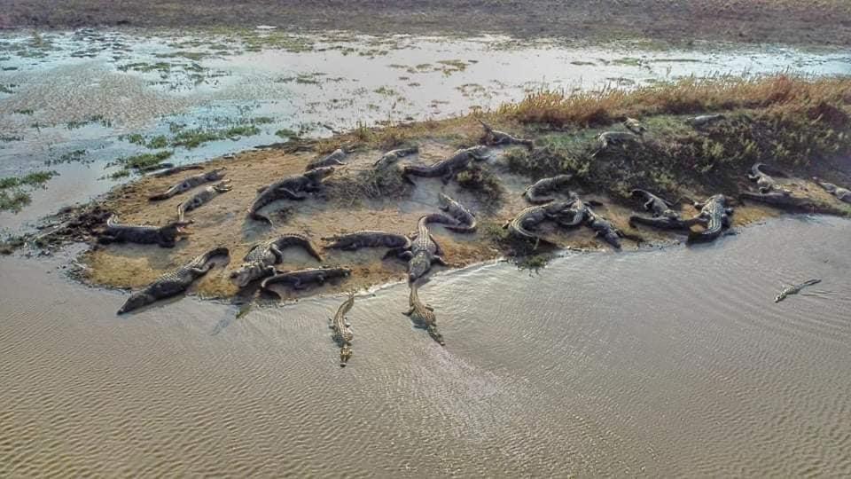 Crocodile Park Bungalow 卡特勒格默 外观 照片