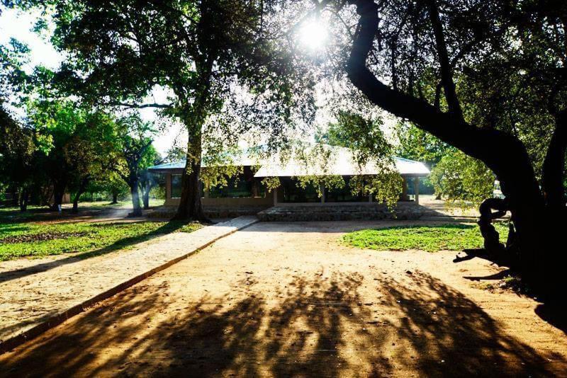 Crocodile Park Bungalow 卡特勒格默 外观 照片