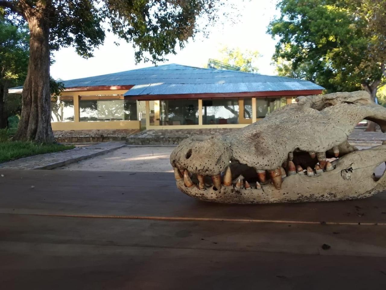 Crocodile Park Bungalow 卡特勒格默 外观 照片
